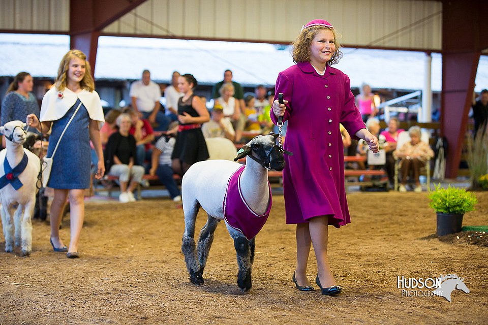 LCFair2016-7549.jpg