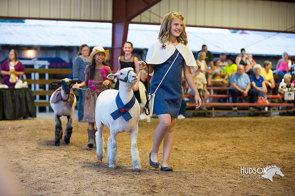LCFair2016-7550.jpg