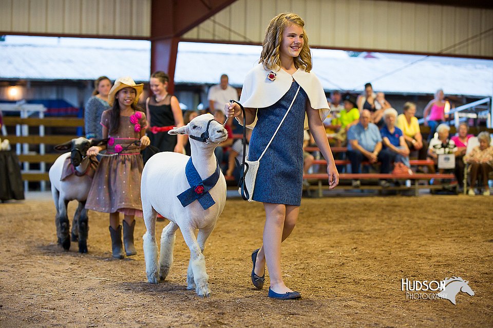 LCFair2016-7551.jpg