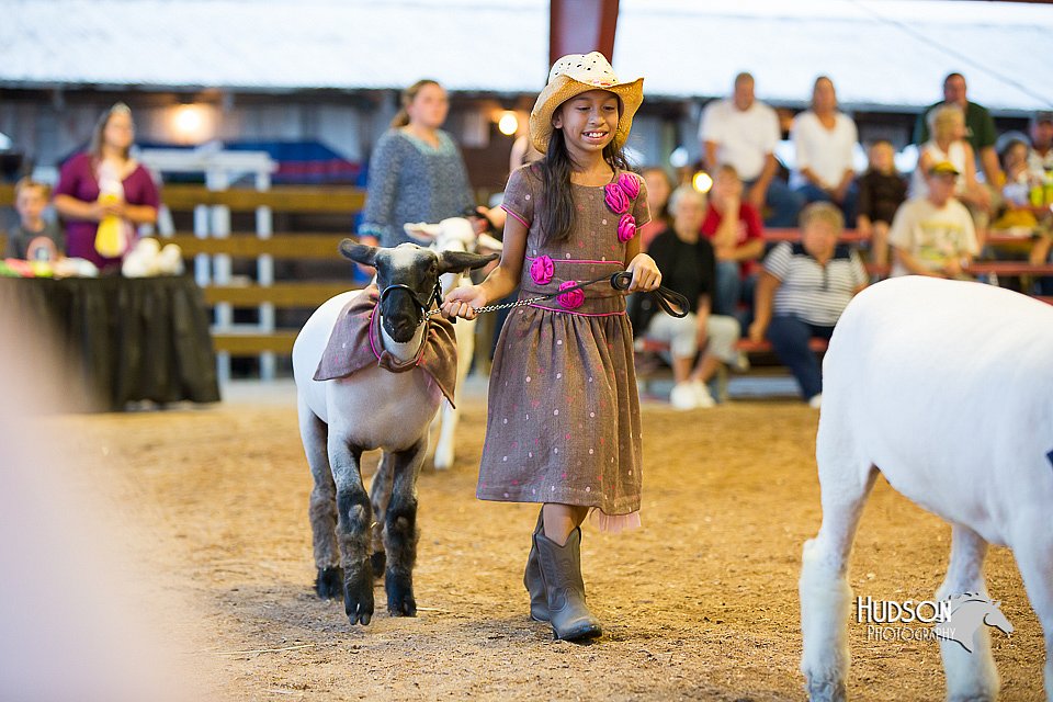 LCFair2016-7552.jpg