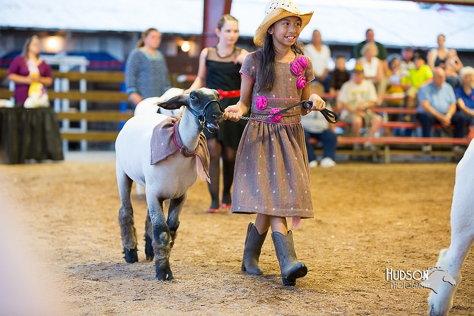 LCFair2016-7553.jpg