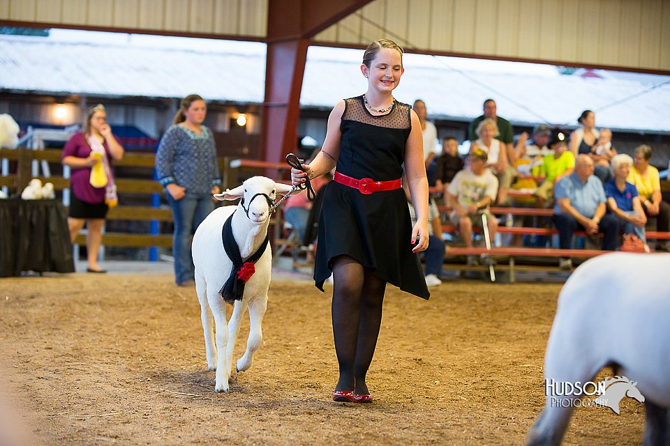 LCFair2016-7554.jpg