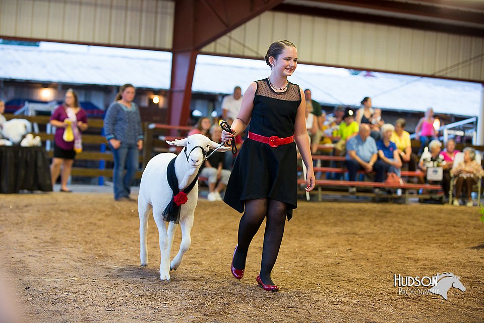 LCFair2016-7555.jpg