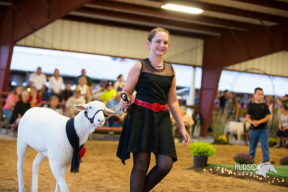 LCFair2016-7556.jpg