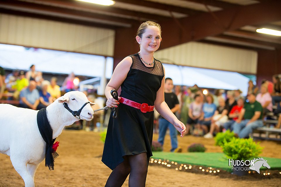 LCFair2016-7557.jpg