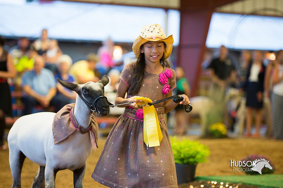 LCFair2016-7559.jpg