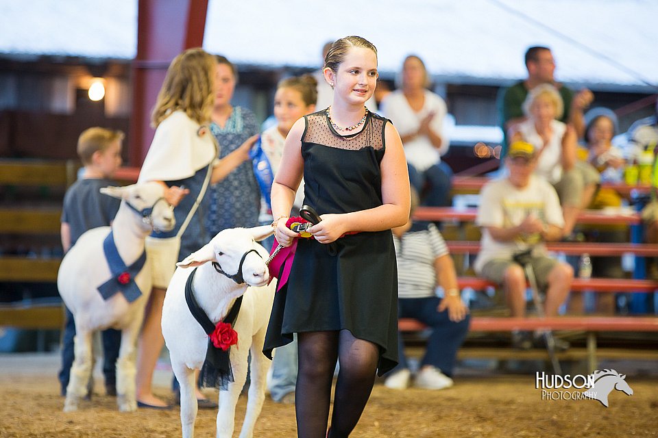 LCFair2016-7561.jpg