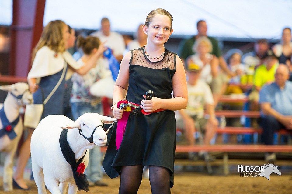 LCFair2016-7562.jpg