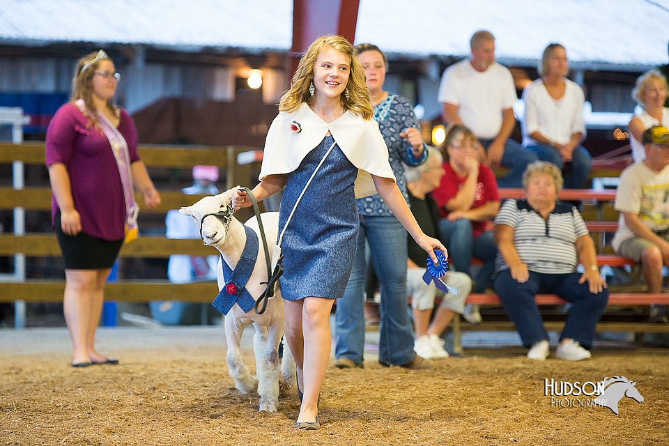 LCFair2016-7563.jpg
