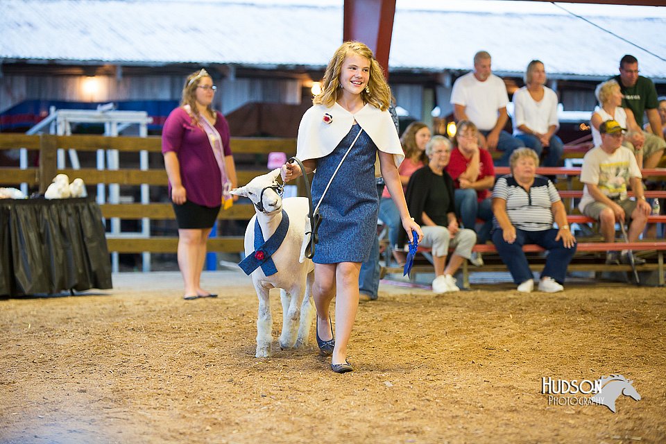 LCFair2016-7564.jpg