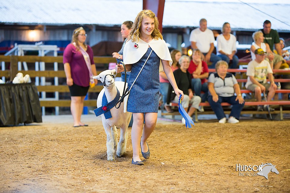 LCFair2016-7565.jpg