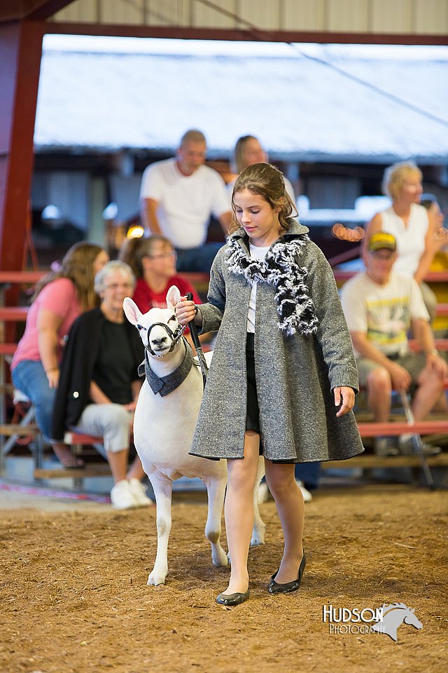 LCFair2016-7566.jpg