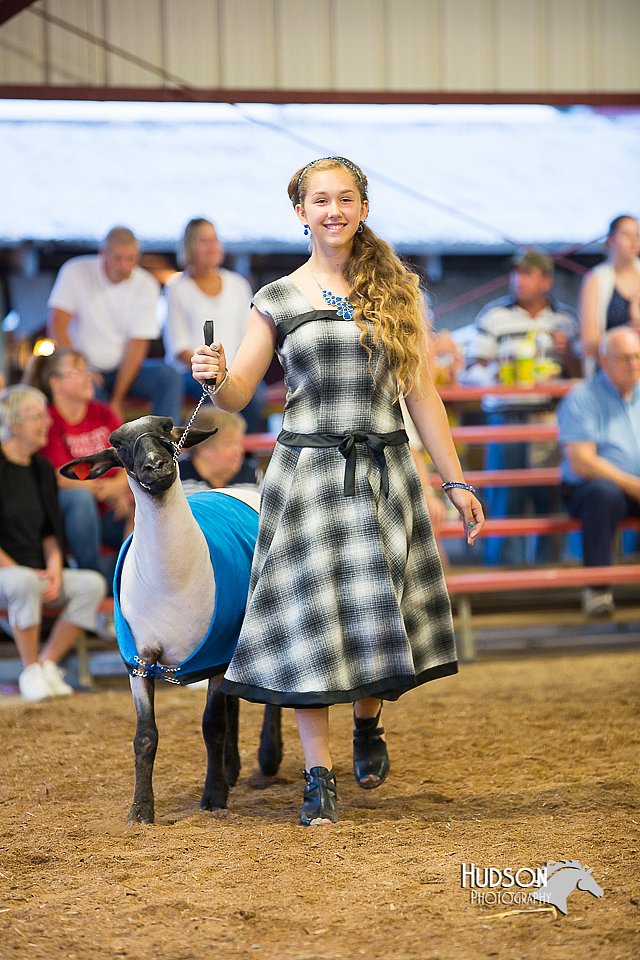 LCFair2016-7573.jpg