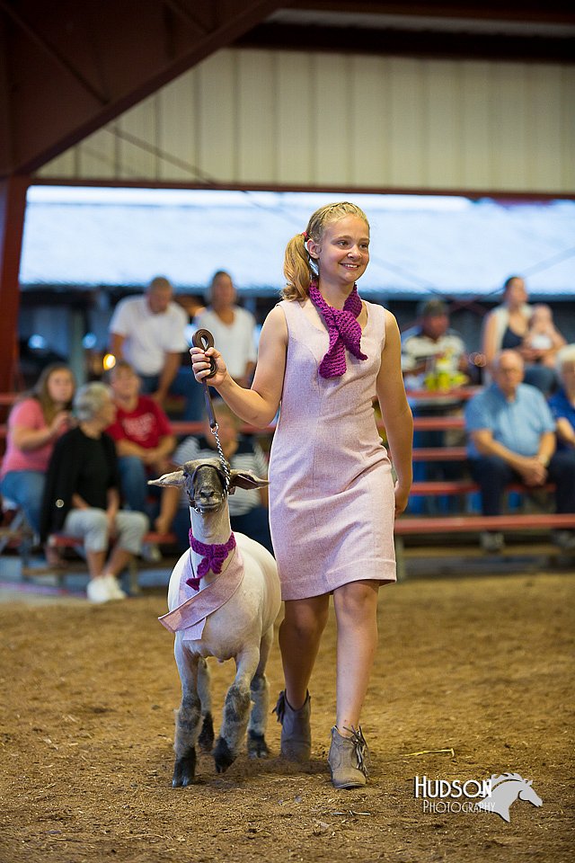 LCFair2016-7575.jpg