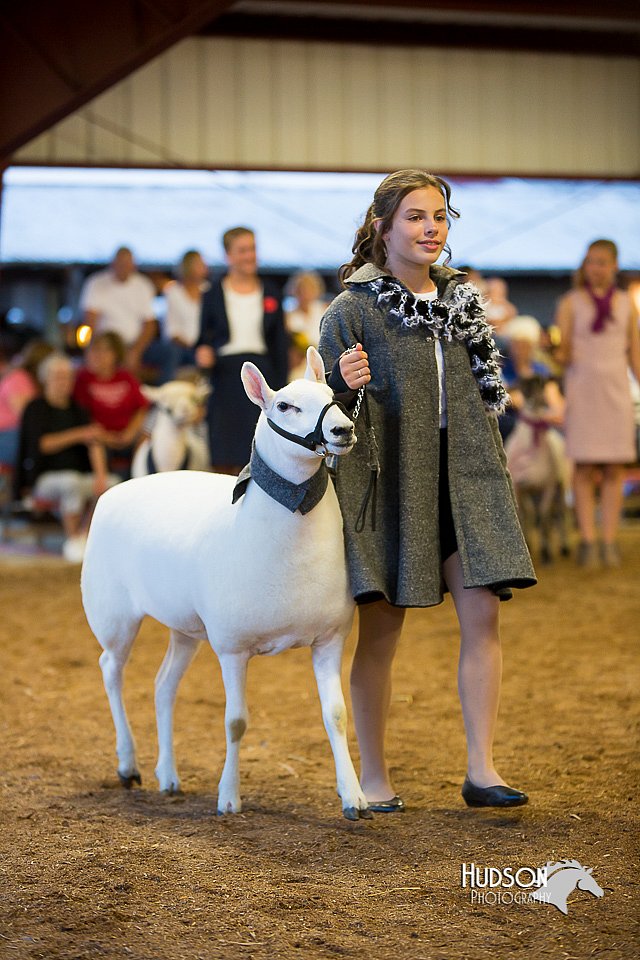 LCFair2016-7586.jpg