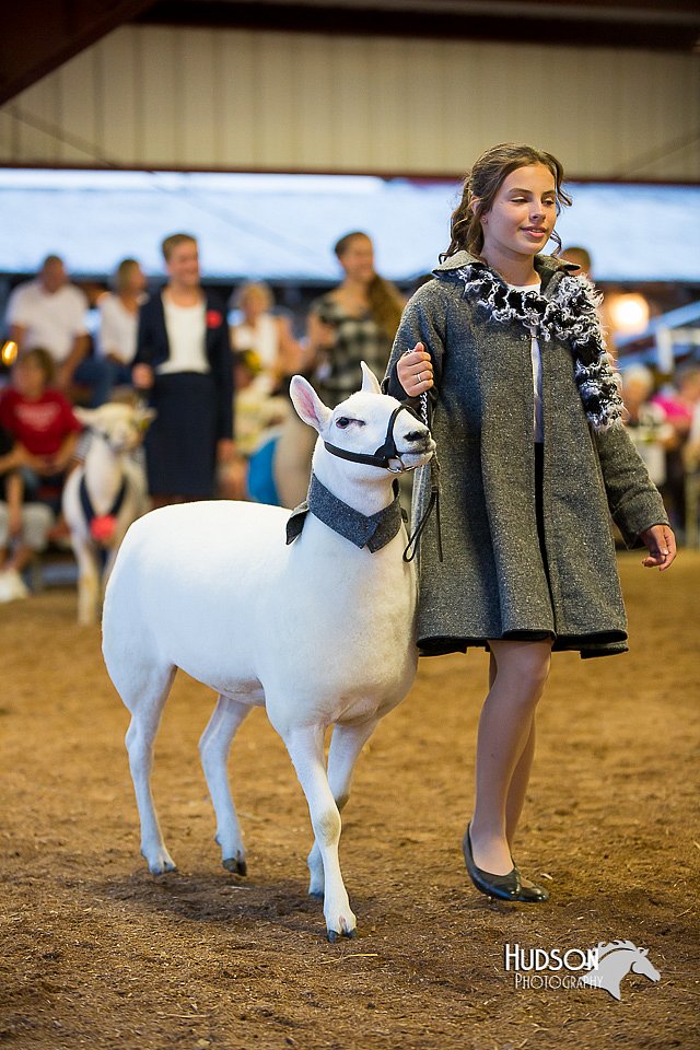 LCFair2016-7587.jpg