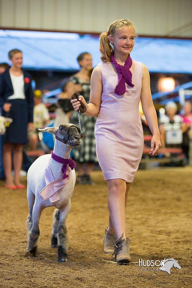 LCFair2016-7628.jpg