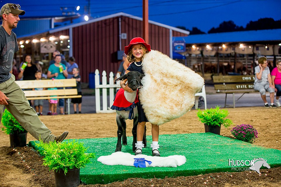 LCFair2016-7785.jpg