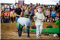 LCFair2016-7309.jpg