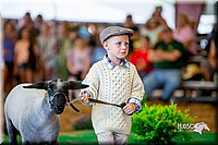 LCFair2016-7310.jpg