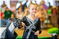 LCFair2016-7394.jpg