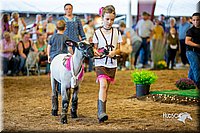 LCFair2016-7411.jpg