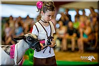 LCFair2016-7412.jpg