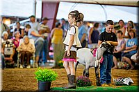 LCFair2016-7413.jpg
