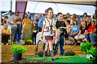 LCFair2016-7414.jpg