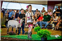 LCFair2016-7415.jpg