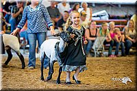 LCFair2016-7425.jpg