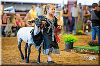 LCFair2016-7427.jpg