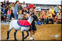 LCFair2016-7428.jpg