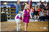 LCFair2016-7429.jpg