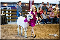 LCFair2016-7430.jpg