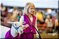 LCFair2016-7433.jpg