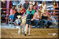 LCFair2016-7435.jpg