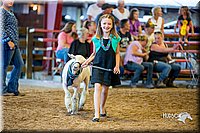 LCFair2016-7436.jpg