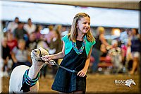 LCFair2016-7438.jpg