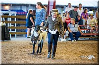 LCFair2016-7440.jpg