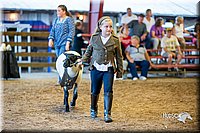 LCFair2016-7441.jpg