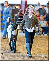 LCFair2016-7442.jpg