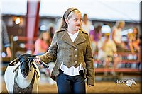 LCFair2016-7443.jpg