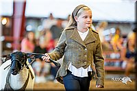 LCFair2016-7444.jpg
