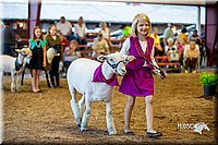 LCFair2016-7446.jpg
