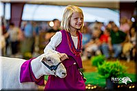 LCFair2016-7448.jpg