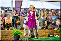 LCFair2016-7453.jpg