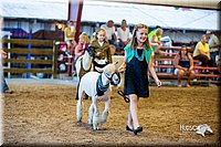 LCFair2016-7456.jpg