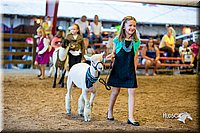 LCFair2016-7457.jpg