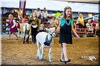 LCFair2016-7458.jpg